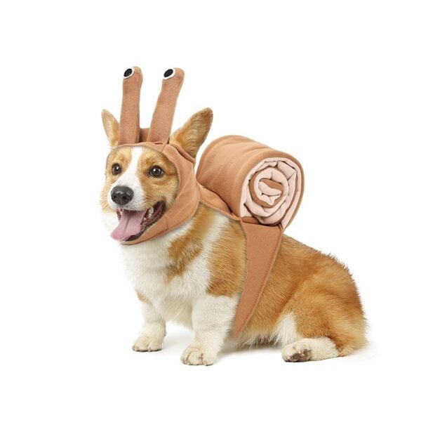 dog wearing snail costume