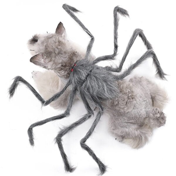 dog wearing gray tarantula costume