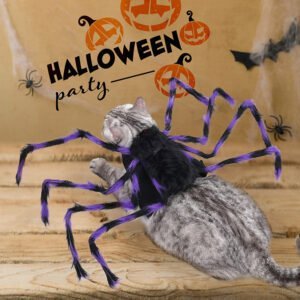 cat wearing black and purple tarantula costume