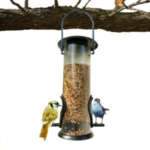 Clear View Hanging Bird Feeder